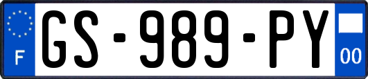 GS-989-PY