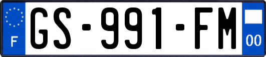 GS-991-FM