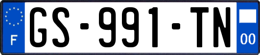 GS-991-TN