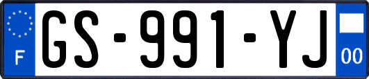 GS-991-YJ