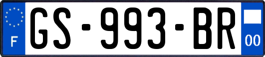 GS-993-BR