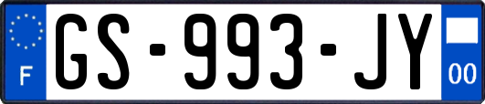 GS-993-JY
