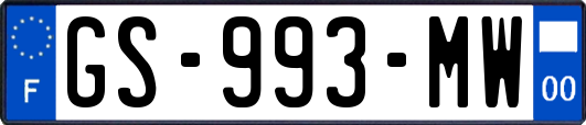 GS-993-MW