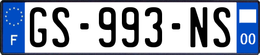 GS-993-NS