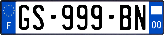 GS-999-BN