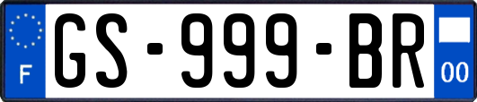 GS-999-BR