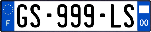 GS-999-LS