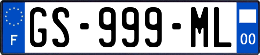 GS-999-ML