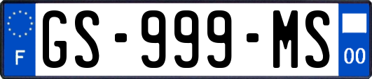 GS-999-MS