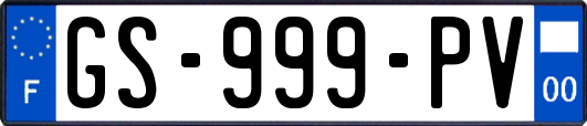 GS-999-PV