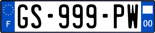 GS-999-PW