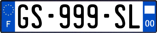 GS-999-SL