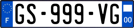 GS-999-VG