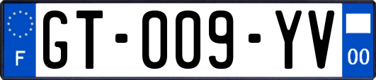 GT-009-YV