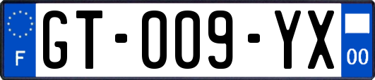 GT-009-YX