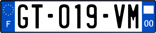 GT-019-VM