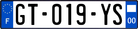 GT-019-YS