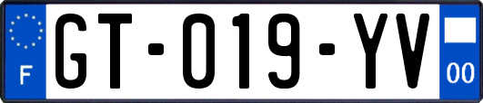 GT-019-YV