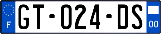 GT-024-DS