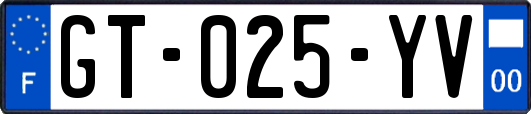 GT-025-YV