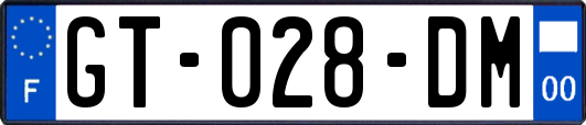 GT-028-DM