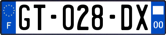 GT-028-DX