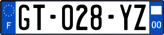 GT-028-YZ