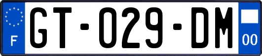 GT-029-DM