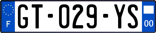 GT-029-YS