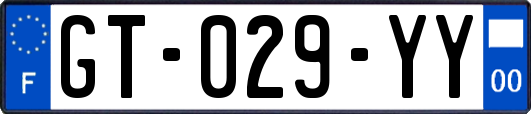 GT-029-YY