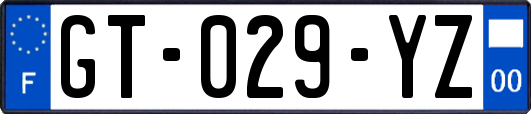 GT-029-YZ
