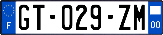 GT-029-ZM
