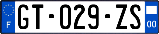 GT-029-ZS
