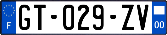 GT-029-ZV