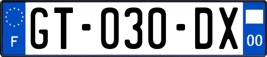 GT-030-DX