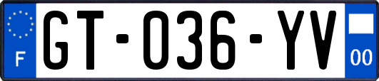 GT-036-YV