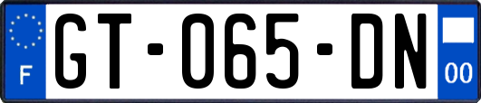 GT-065-DN