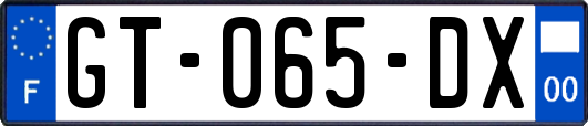 GT-065-DX