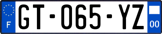GT-065-YZ