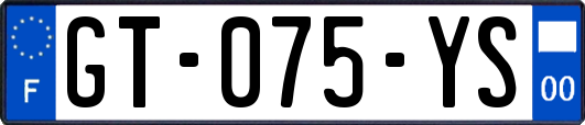 GT-075-YS
