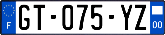 GT-075-YZ