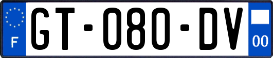 GT-080-DV