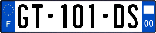 GT-101-DS