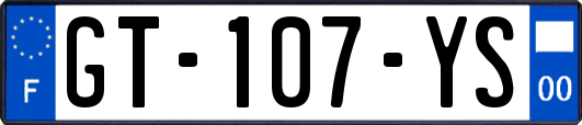 GT-107-YS
