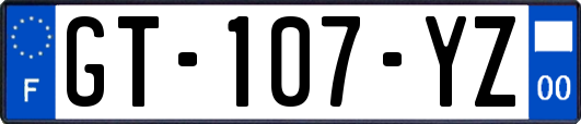 GT-107-YZ