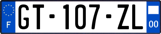 GT-107-ZL
