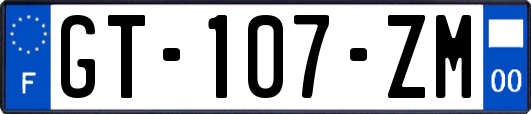 GT-107-ZM