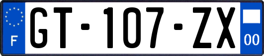 GT-107-ZX