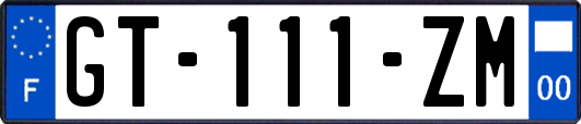 GT-111-ZM