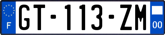 GT-113-ZM